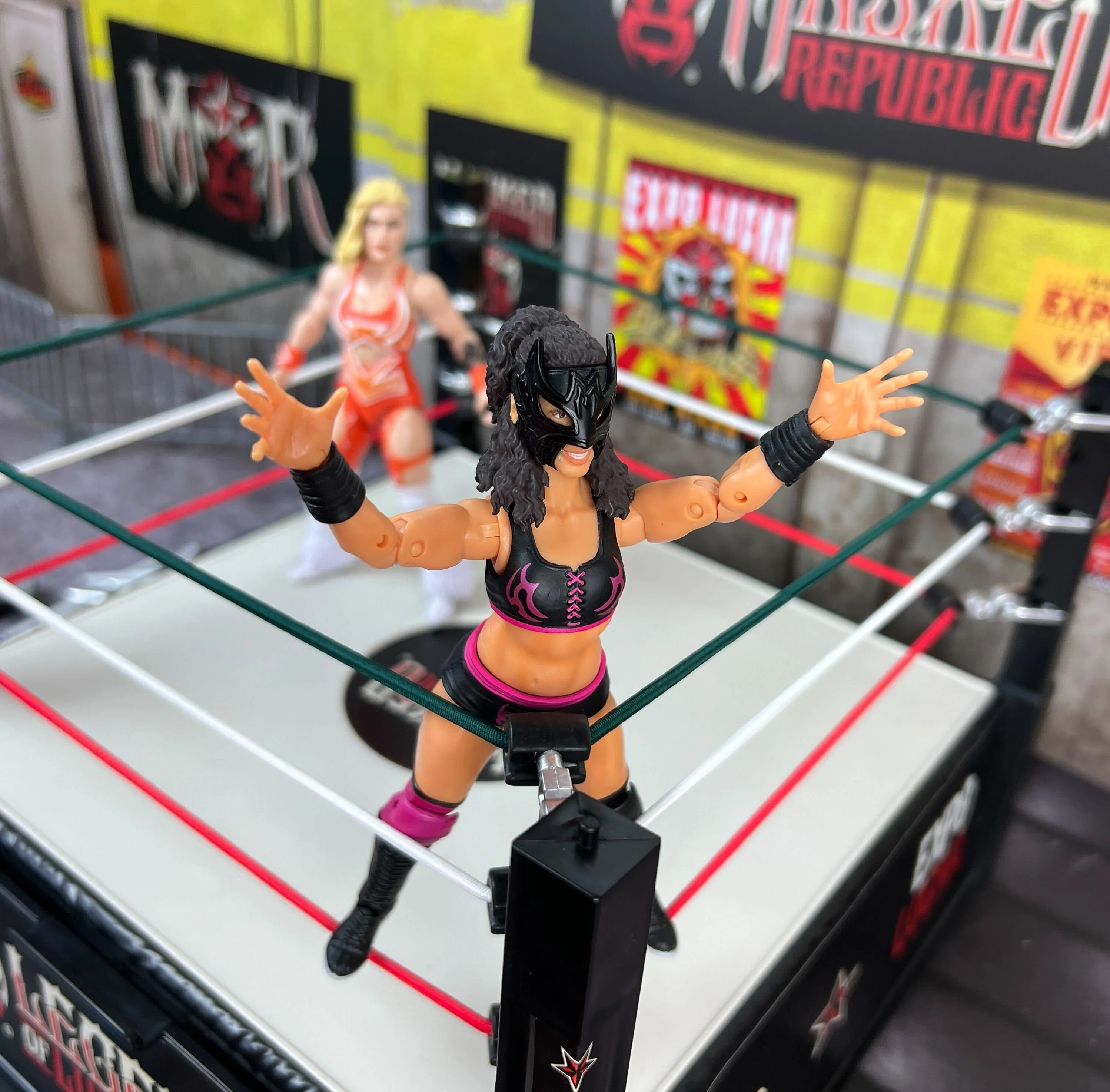 Legends of Lucha Libre Premium Collector Action Figure: Lady Maravilla - Image 9
