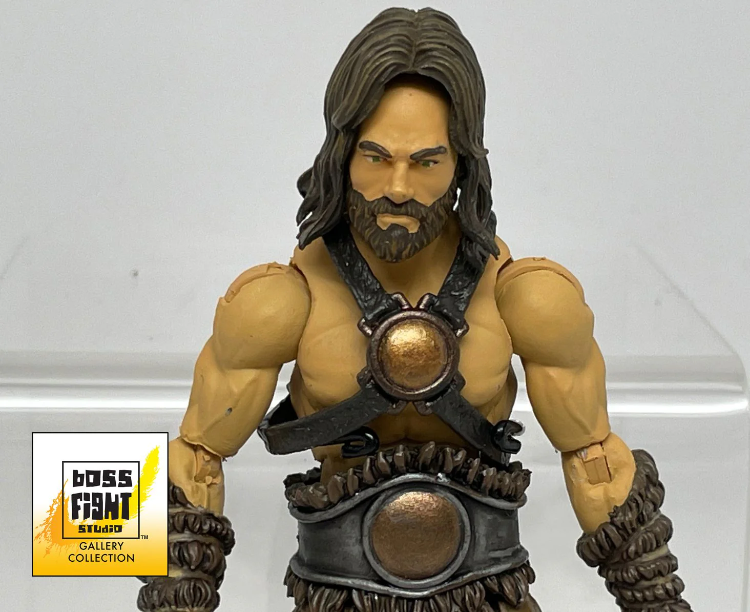 Vitruvian H.A.C.K.S. Fantasy Series Vandar Paint Master - Image 2